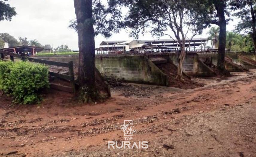 Fazenda à venda na região de Itapetininga.