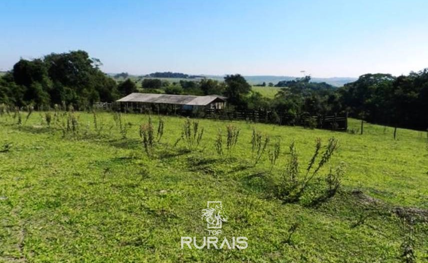 Sítio à venda em Tietê-SP, com 21,5 alqueires .