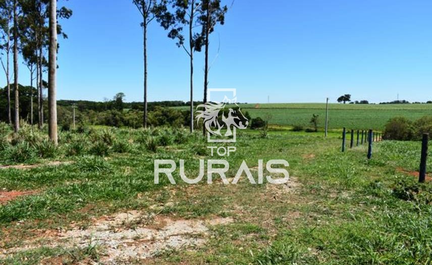 Fazenda à venda com 58 alqueires na região de Tietê-SP.