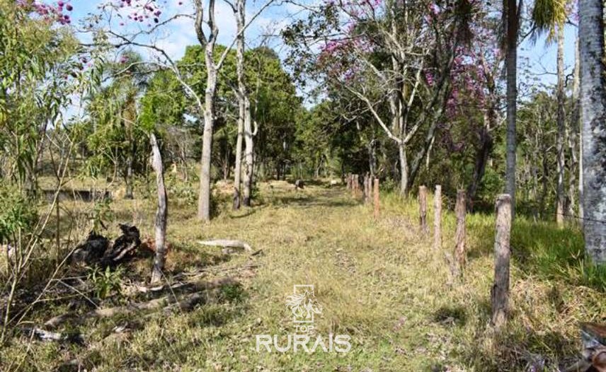 Fazenda com 35 alqueires à venda em Itu-SP,