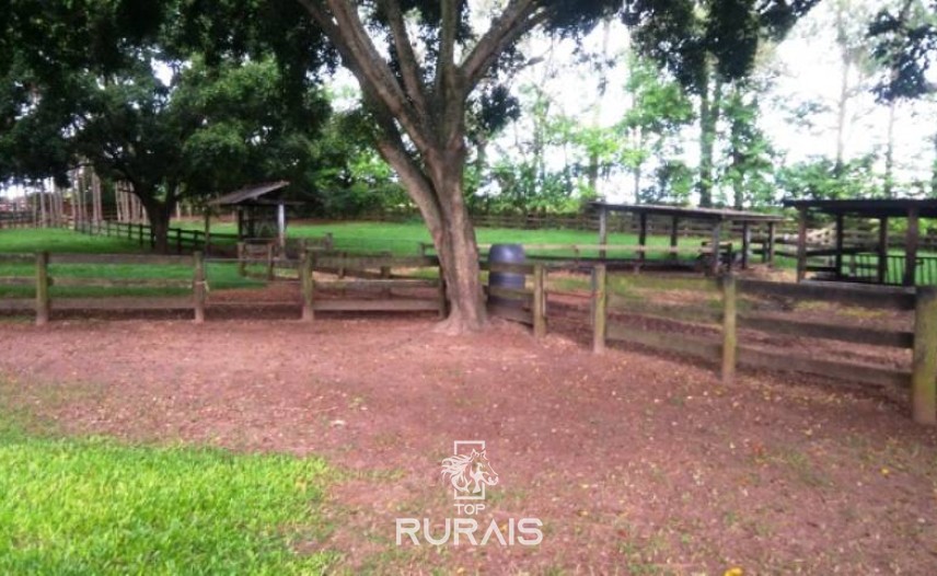 Fazenda à venda na região de Itapetininga.