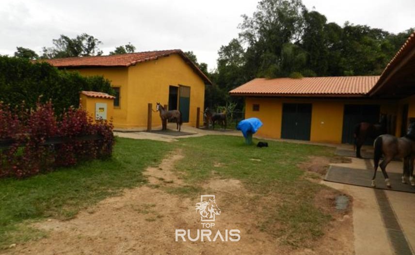 Haras formado à venda em Boituva-SP.