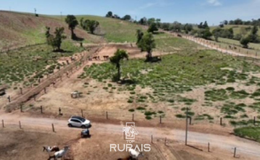 Haras pronto em Itatiba -SP, com 8,2 alqueires.