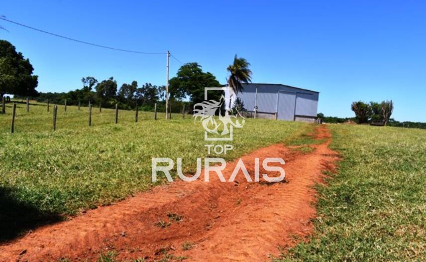 Fazenda à venda com 58 alqueires na região de Tietê-SP.