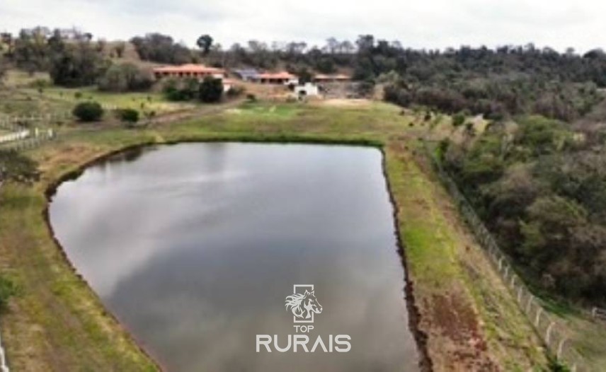 Haras formado na região de Tatui-SP.