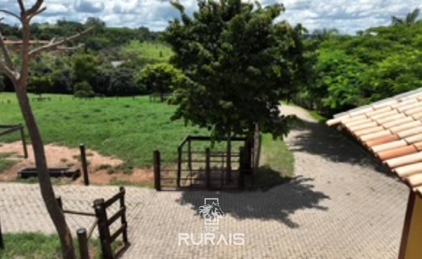 Haras formado á venda em Itatiba-SP