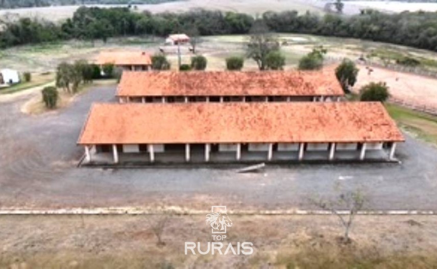 Haras formado na região de Tatui-SP.