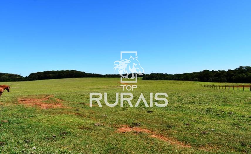 Fazenda à venda com 58 alqueires na região de Tietê-SP.