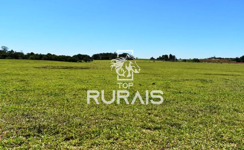 Fazenda à venda com 58 alqueires na região de Tietê-SP.