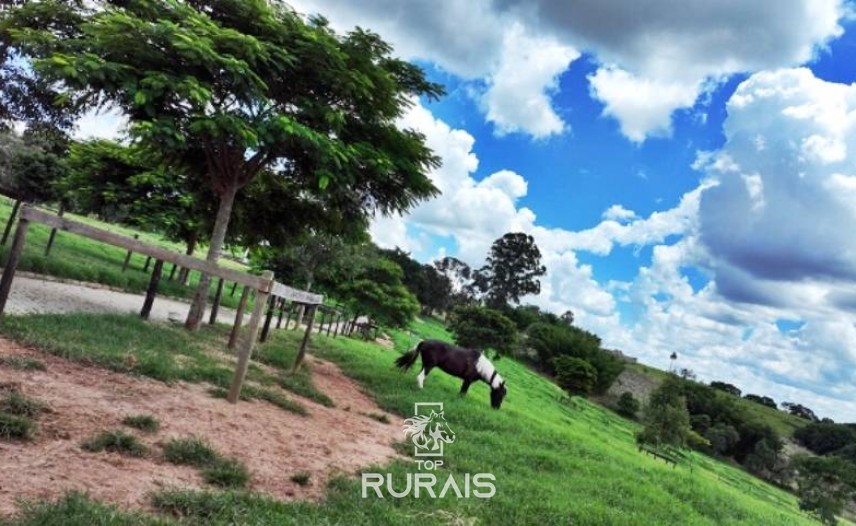 Haras formado á venda em Itatiba-SP