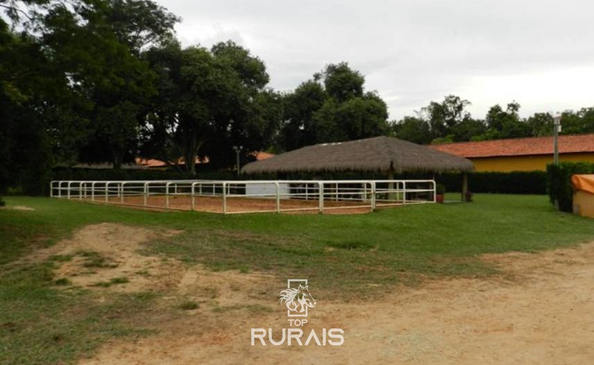 Haras formado à venda em Boituva-SP.