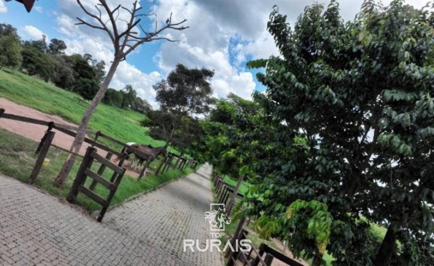 Haras formado á venda em Itatiba-SP