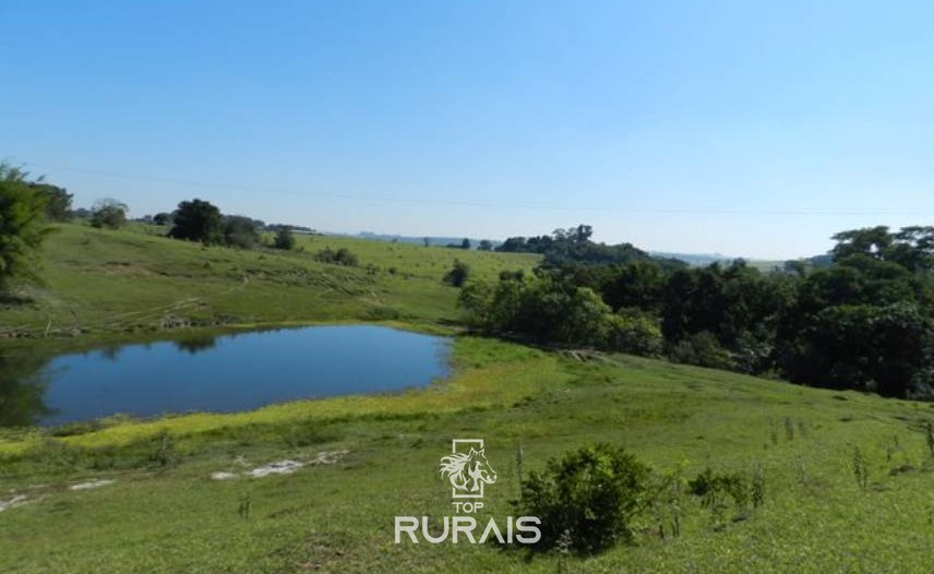 Sítio à venda em Tietê-SP, com 21,5 alqueires .
