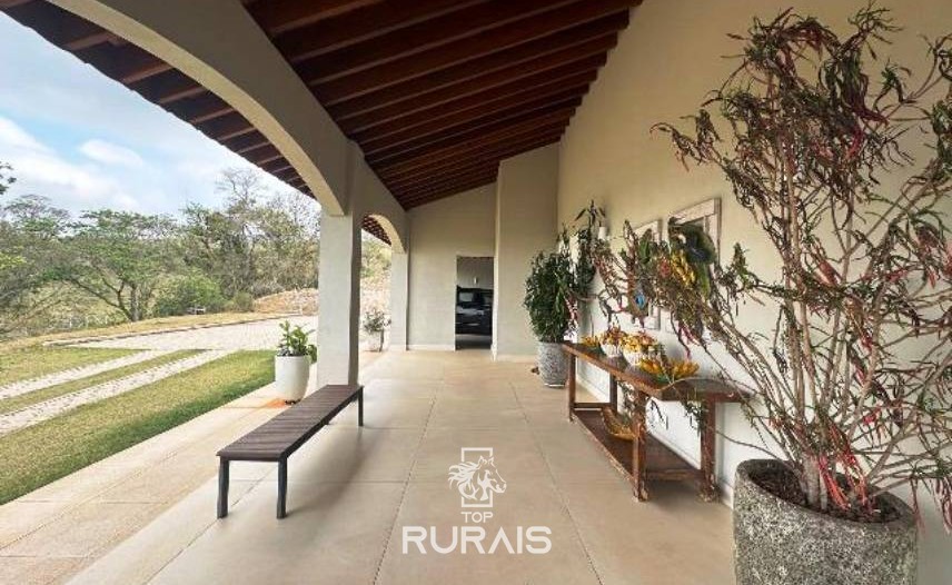 Haras formado na região de Tatui-SP.