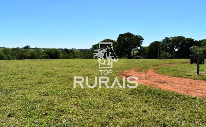 Fazenda à venda com 58 alqueires na região de Tietê-SP.