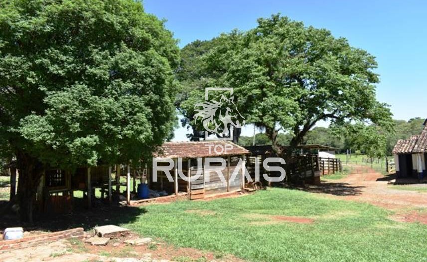 Fazenda à venda com 58 alqueires na região de Tietê-SP.
