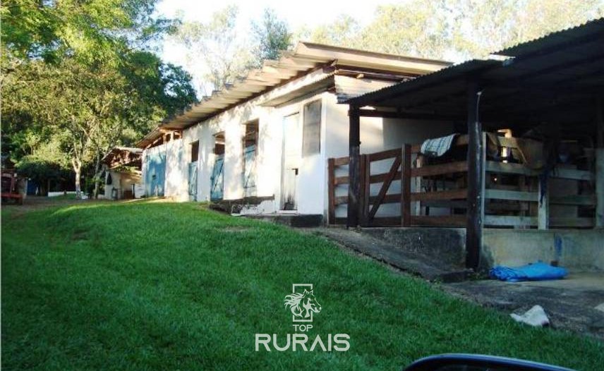 Sítio à venda em Tietê-SP, com 21,5 alqueires .