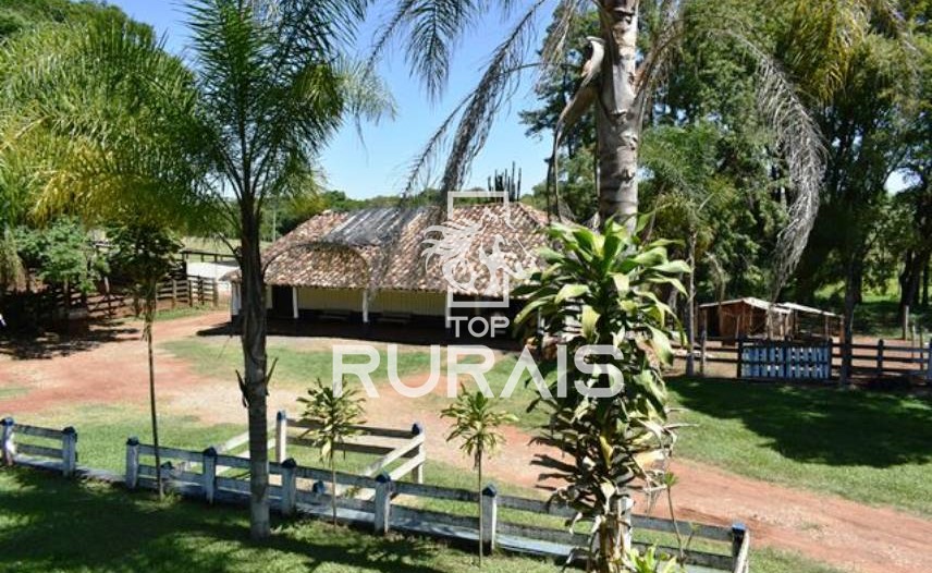 Fazenda à venda com 58 alqueires na região de Tietê-SP.