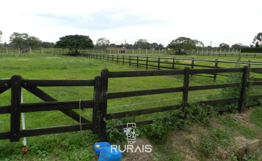 Haras formado à venda em Boituva-SP.