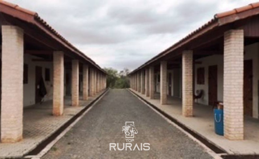 Haras formado na região de Tatui-SP.