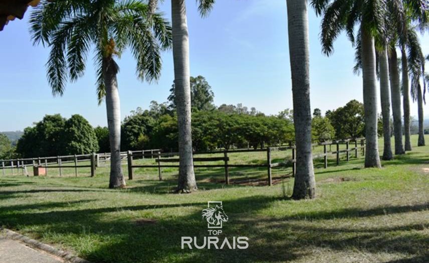 Sitio/haras á venda em Porto Feliz-SP.