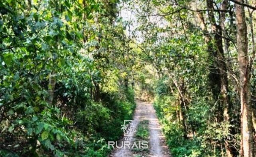 Haras à venda na região de Sorocaba com 15 alqueires.