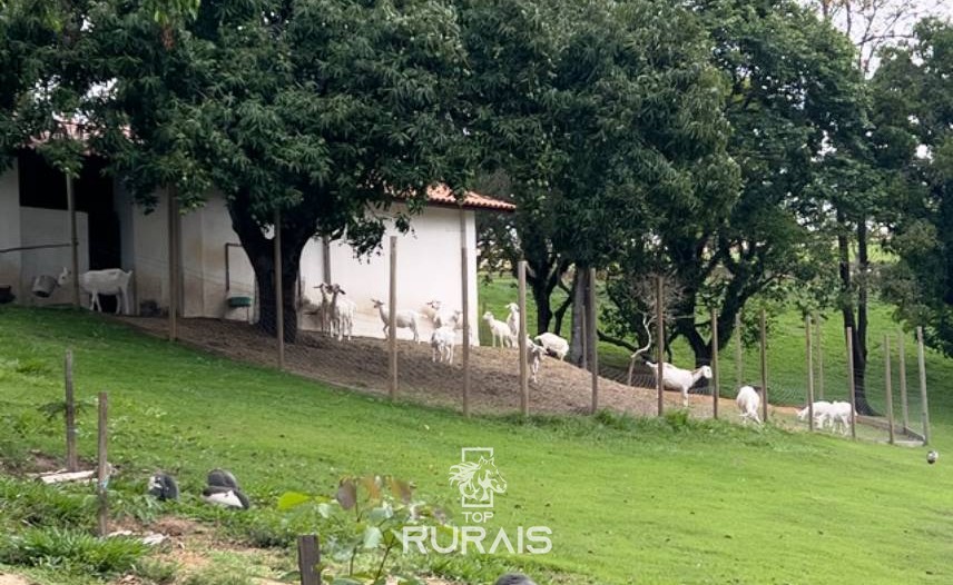 Haras perfeito à venda em condomínio. Porto Feliz-SP.