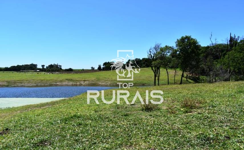Fazenda à venda com 58 alqueires na região de Tietê-SP.