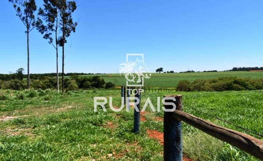 Fazenda à venda com 58 alqueires na região de Tietê-SP.