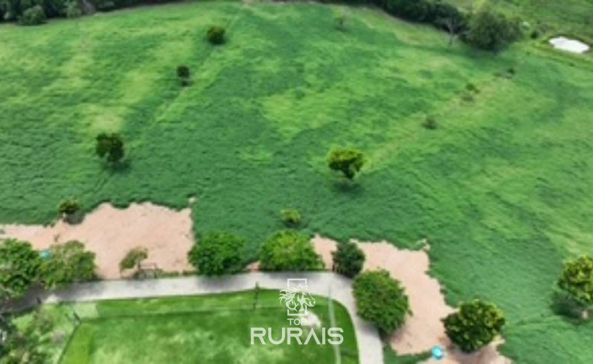 Haras formado á venda em Itatiba-SP