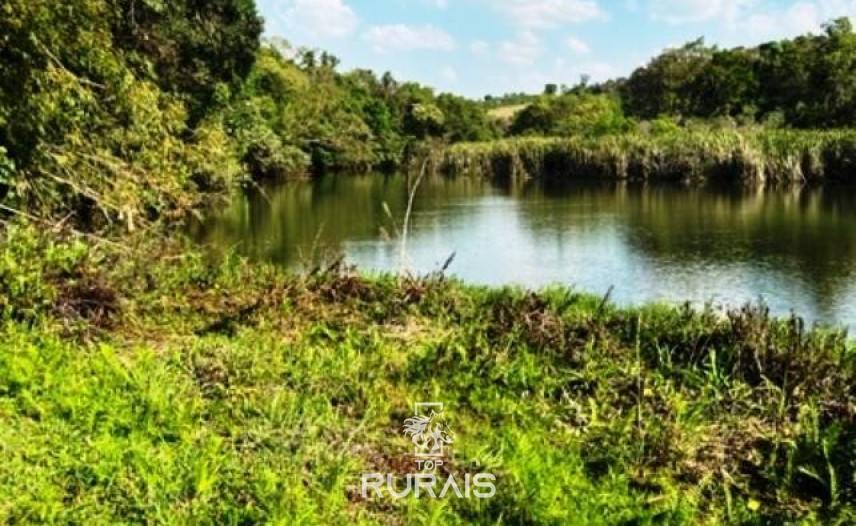 Haras à venda na região de Sorocaba com 15 alqueires.