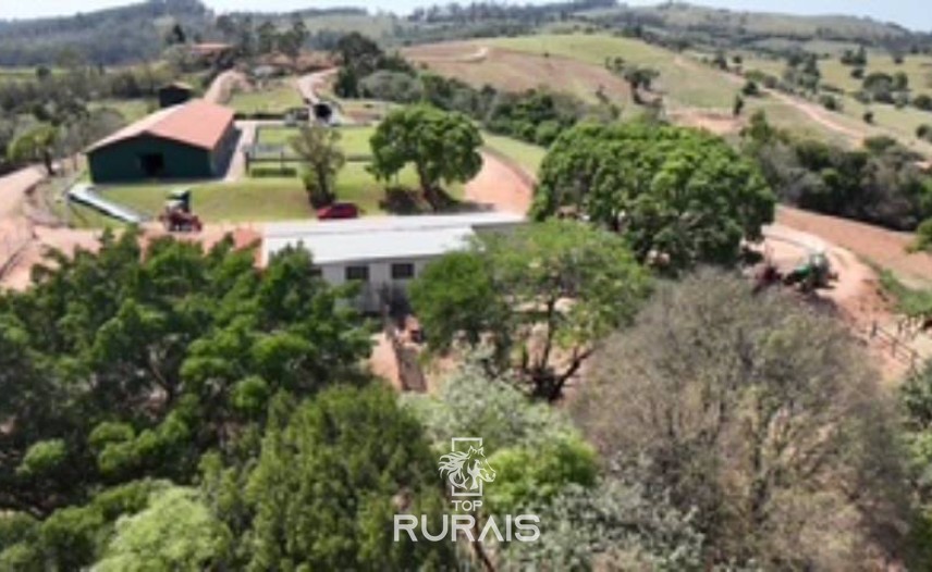 Haras pronto em Itatiba -SP, com 8,2 alqueires.