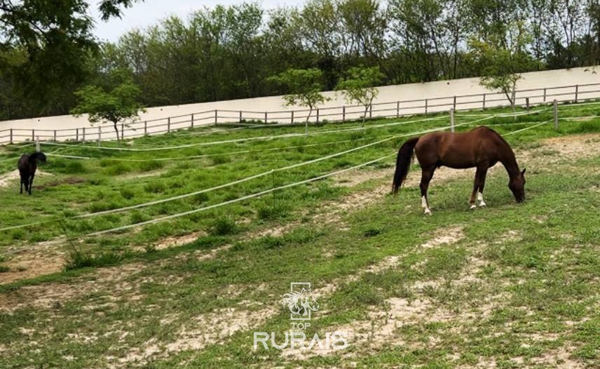 Haras perfeito à venda em condomínio. Porto Feliz-SP.