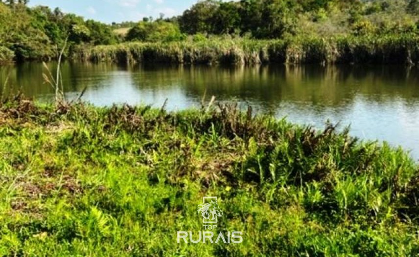 Haras à venda na região de Sorocaba com 15 alqueires.