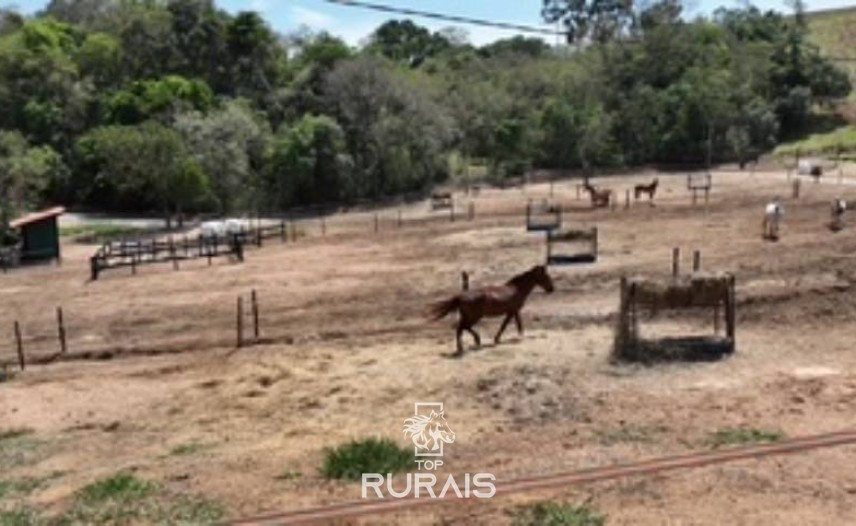 Haras pronto em Itatiba -SP, com 8,2 alqueires.