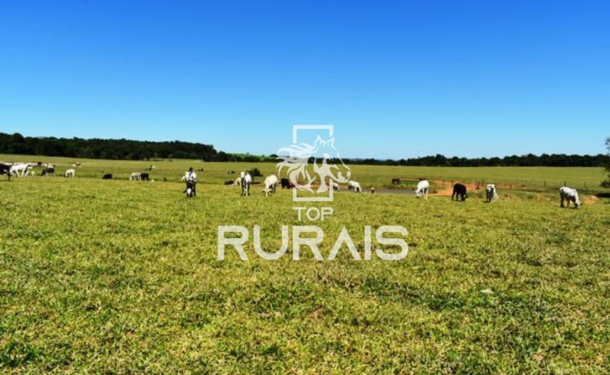 Fazenda à venda com 58 alqueires na região de Tietê-SP.