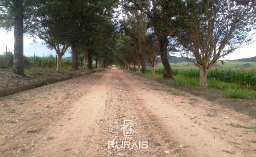 Fazenda à venda na região de Itapetininga.
