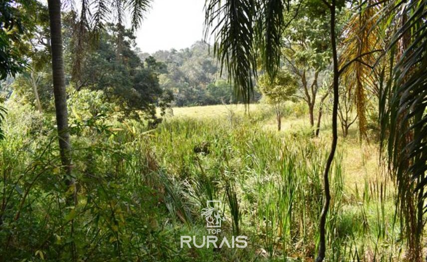 Fazenda com 35 alqueires à venda em Itu-SP,