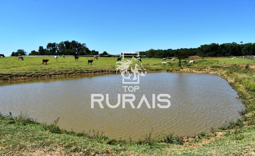 Fazenda à venda com 58 alqueires na região de Tietê-SP.