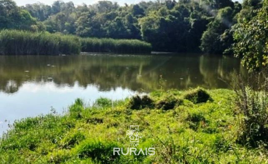 Haras à venda na região de Sorocaba com 15 alqueires.