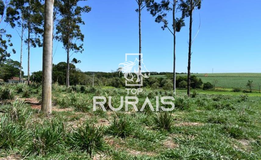Fazenda à venda com 58 alqueires na região de Tietê-SP.