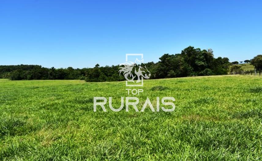 Fazenda à venda com 58 alqueires na região de Tietê-SP.