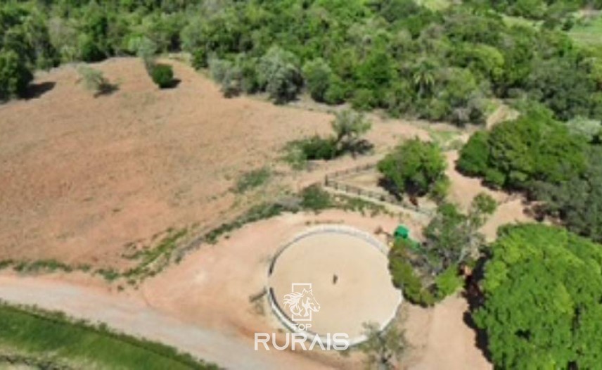 Haras pronto em Itatiba -SP, com 8,2 alqueires.