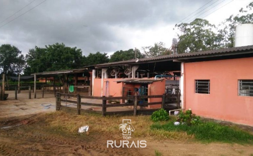 Fazenda à venda na região de Itapetininga.