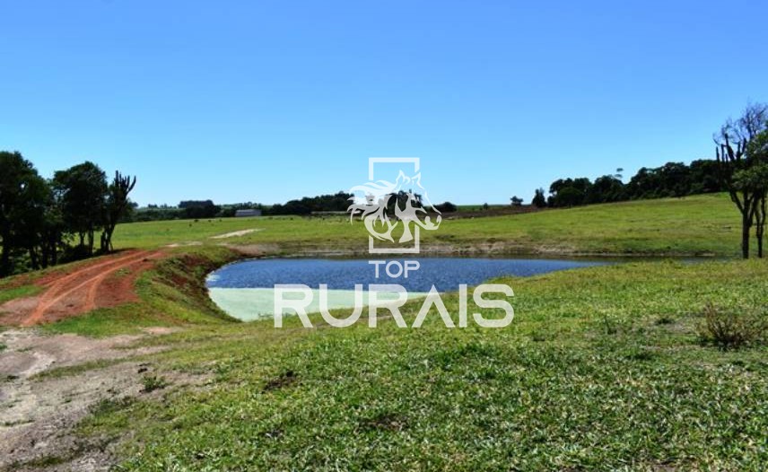 Fazenda à venda com 58 alqueires na região de Tietê-SP.
