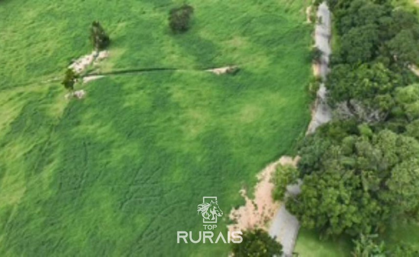 Haras formado á venda em Itatiba-SP