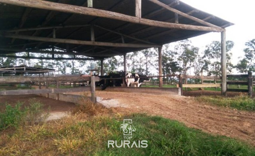 Fazenda à venda na região de Itapetininga.