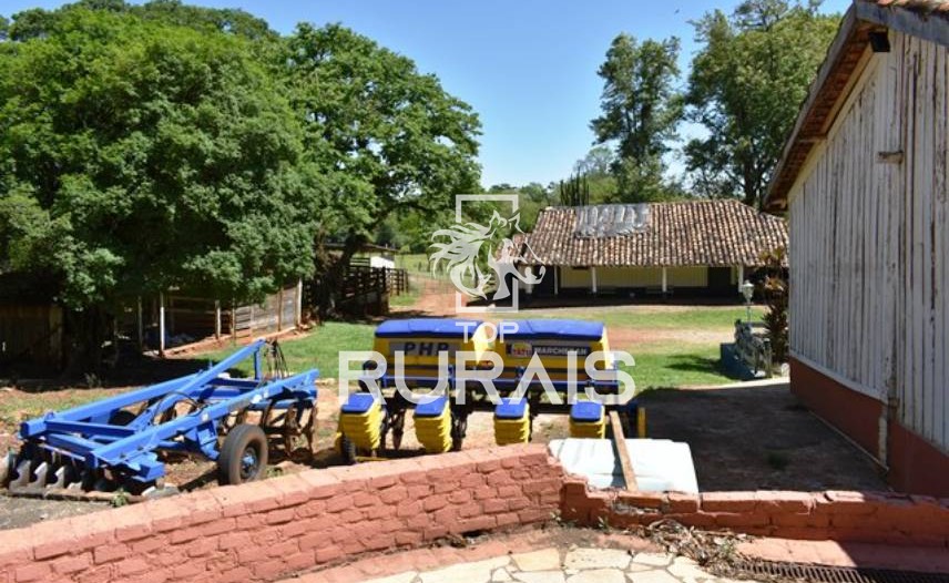 Fazenda à venda com 58 alqueires na região de Tietê-SP.