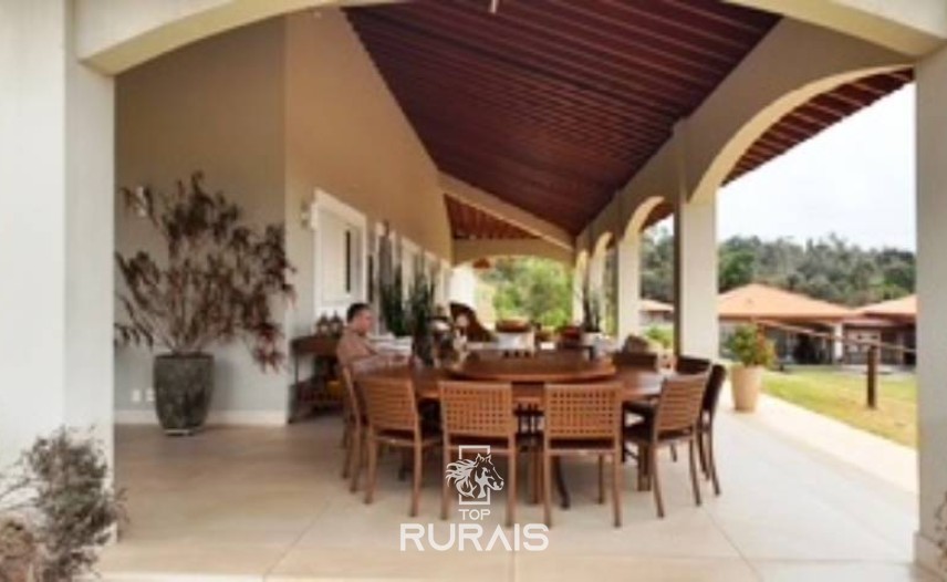 Haras formado na região de Tatui-SP.