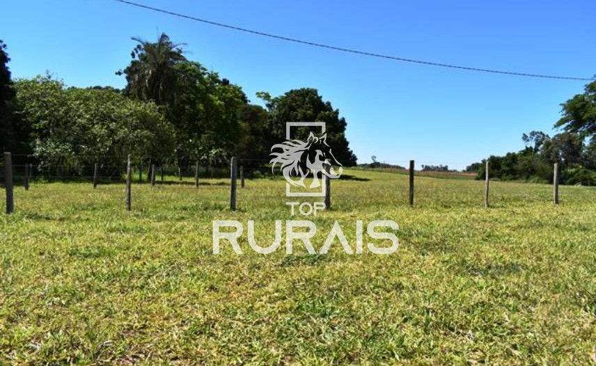 Fazenda à venda com 58 alqueires na região de Tietê-SP.